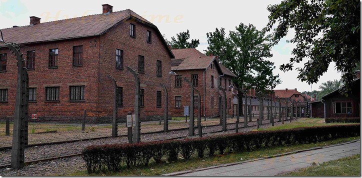 dj-Pologne Camp Auschwitz I-03.07.19a
