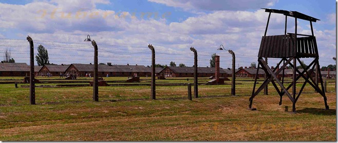 dm-Pologne Camp Auschwitz-Birkenau 03.07.19a