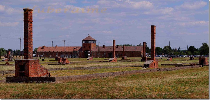 dp-Pologne Camp Auschwitz-Birkenau 03.07.19a